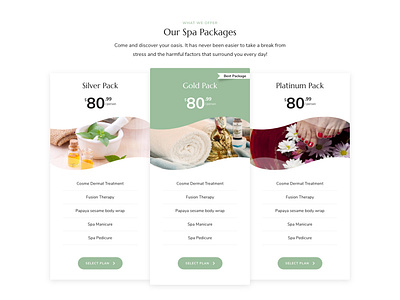 Pricing clean design minimal pricing pricing table ui ui ux ux