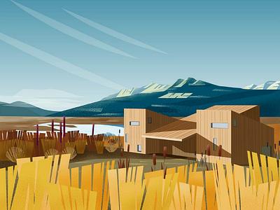 Iceland adobe airbnb illustration illustrator