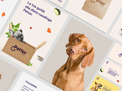 Petter | Visual Identity & Ui/Ux artdirection branding design identity logo paper pay responsive ui uiux website