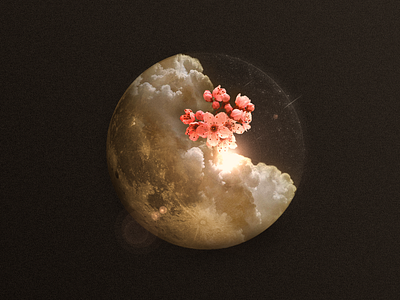 Moon's Blossoms blossoms cloud clouds dark illustration lens flare moon moonlight orange sky space stars sun