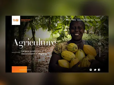 Ondo State website (proposed) design ui ux