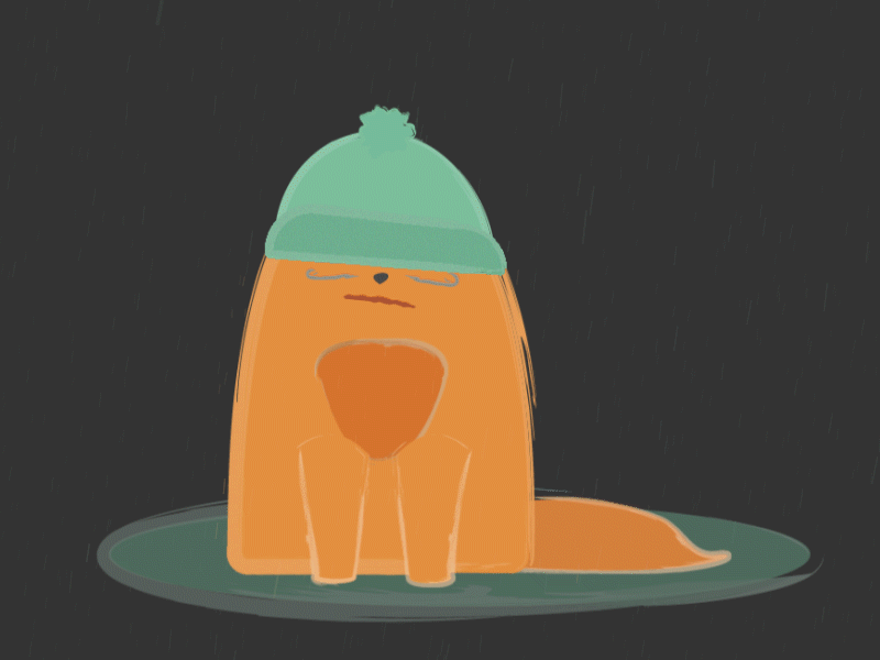 Cool Cat cat cool cool cat puddle rain wet