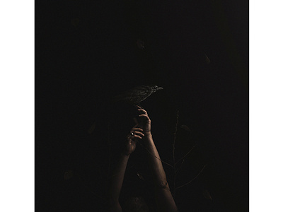 The Crow