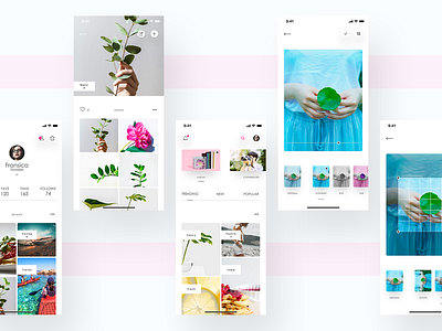 Photo Sharing App app branding catalog catalogue clean figma figmaafrica icon interaction design ios iphonex layout minimal mobile photo photography typography ui ux vector