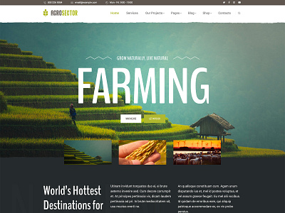 Agrosector - Agriculture Elementor Builder WordPress Theme agriculture agritourism agrotourism eco farm farming food producers gutenberg health organic organic farm organic food retail shop store woocommerce