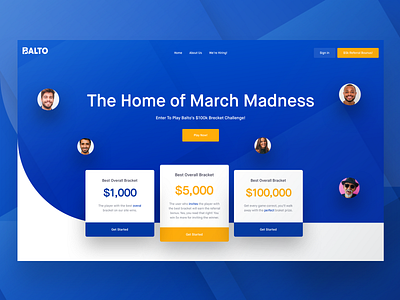 Balto Hero Concept balto blue cashflow data design interface landing page money ui ux website