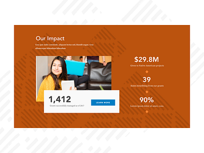 Impact Block block homepage impact nonprofit stats texture ui web deisgn website