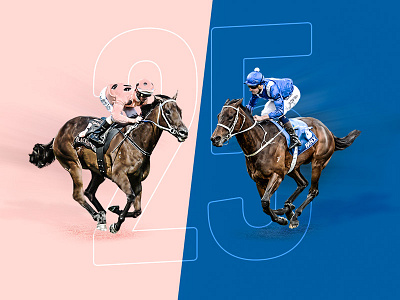 The Two Champions art artwork design digital digital design illustration image image editing image editor photo photoshop typography ui