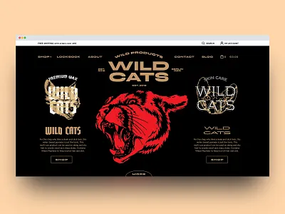 Daily Ui Challenge 03 daily ui 003 dailyui flat illustration landing page landing page concept logo typography ui ui challenge vector