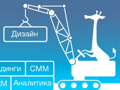 VK Group giraffes vk vkontakte