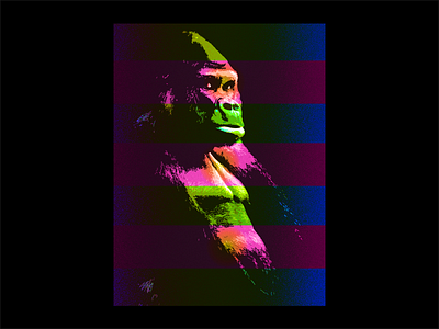 Gorilla Poster Experiment animal art branding color design gorilla illustrator photoshop wall art