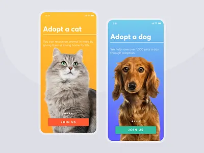 Homeless Animal Shelter Concept app blue and yellow clear concept design minimal mobile mobile app ui ui design ux ux design