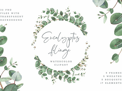 Eucalyptus Foliage watercolor background bouquet clipart decor design eucalyptus eucalyptus floral eucalyptus flowers eucalyptus foliage watercolor floral flowers foliage illustration template vector watercolor watercolor background watercolor floral watercolor flowers wedding