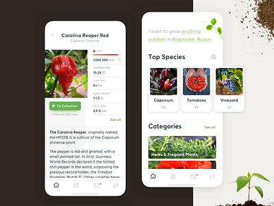 Plant Strains Selection botanic botany capsicum catalogue category flower gardening growing ios mobile app reference strain ui ux vegetable