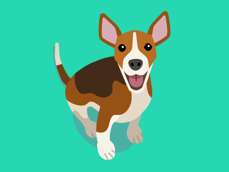 Are You There? after effects animated gif animation dog illustration loop puppy