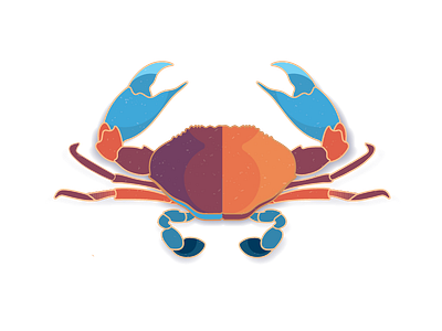 Maryland Crab crab design illustration maryland old bay