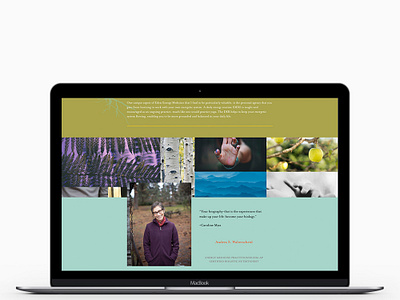 Thyme & Energy Website Design + Develpment elementor web website wordpress blog wordpress design wordpress development