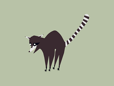 Racoon animal cartoon flat funny illustration minimalistic racoon