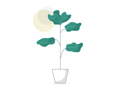 Fiddle Leaf fiddle leaf illustration illustrator plant