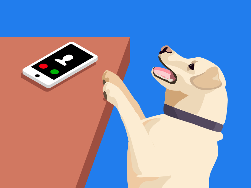 We've Been Trying to Reach You after effects animated gif animation dog illustration loop vector