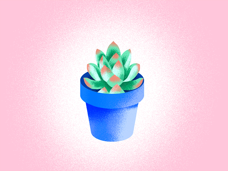 A lil succulent brush color illustration paint photoshop plant succulent texture tiny