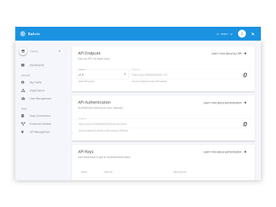 Api Management Design for Metis Labs dashboard design machine learning ui ui ux design