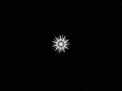 Supernova animation art black and white illustration java math mathart motion procedural processing