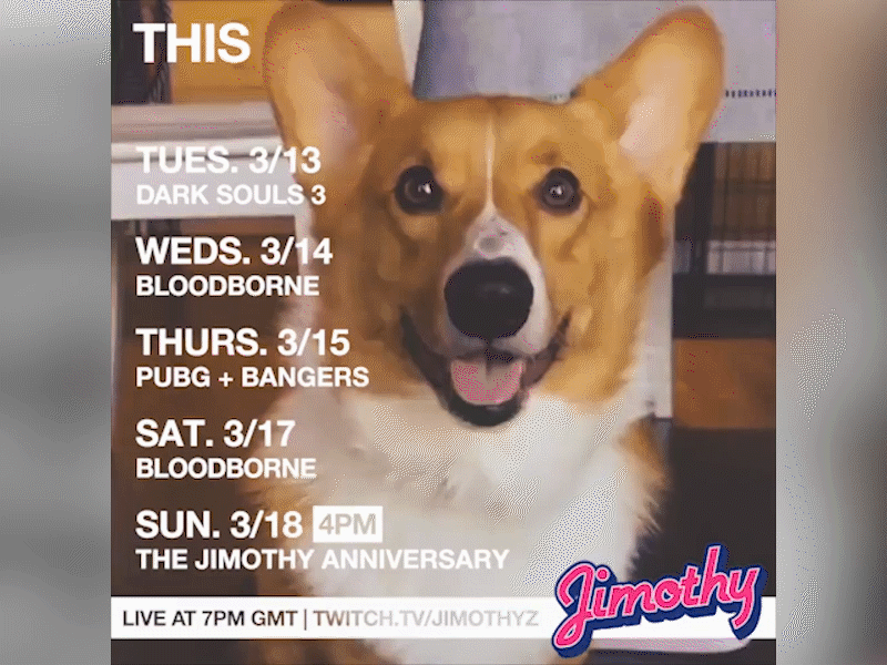 Jimothy GIF Schedule (c. 2018) corgi gif instagram social twitch