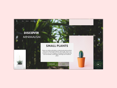 Minimal flowers web concept. adobe illustrator adobe xd color flowers graphic design icons logo minimal minimal artist minimalism minimalist pantone ui ui design ui ux ux ux design web web concept web design