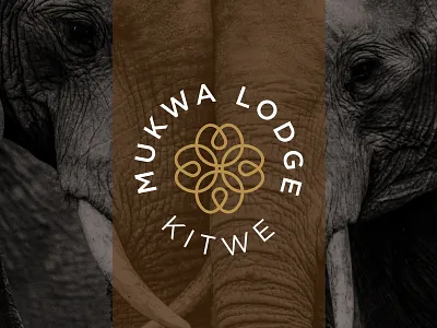 Mukwa Lodge, Kitwe - Logo Design african brand african brands african logo agent orange design branding brown hospitality lodge logo logo designers minimalist logo mukwa lodge mukwa seed seed logo seeds