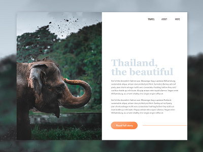 Elegant Elephants blog graphic design travel travel blog ui ui design ui designer web web design