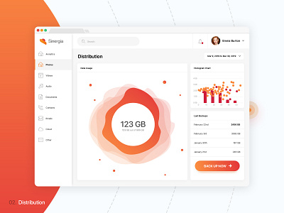 Sinergia | Web App with rich Data Visualisation backup chart dashboad data visulization finance app modern ui ui ux design ui pack ux design web application