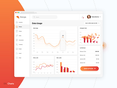 Sinergia | Web App with rich Data Visualisation dahsboard data analytics data visulization histogram web app design