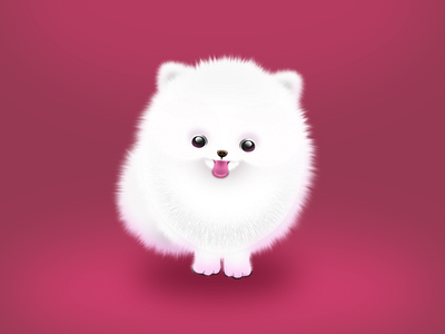 Fluffy Teacup Pom design illustration