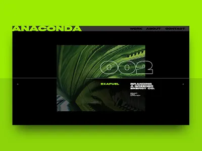 A N A C O N D A branding design ui ux web web design