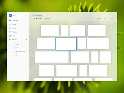 Photo Manager app concept gallery photos software ui uwp windows windows 10