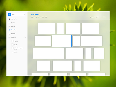 Photo Manager app concept gallery photos software ui uwp windows windows 10