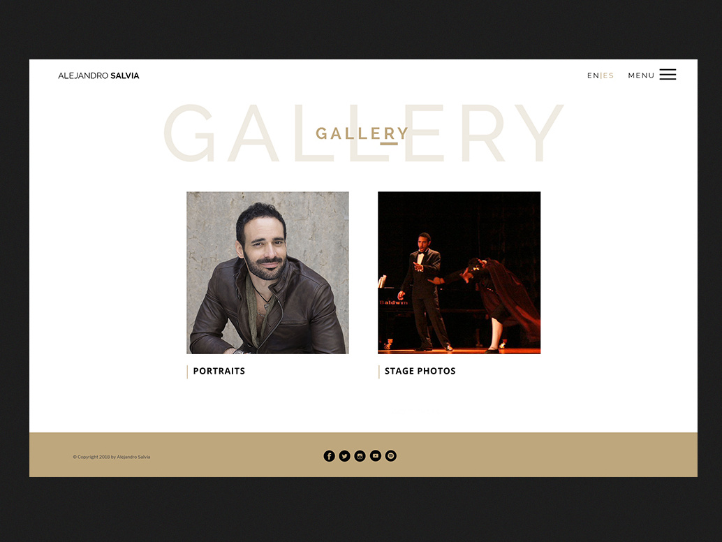 Alejandro Salvia - Website design interace interaction design music ux ui design uxdesign web website