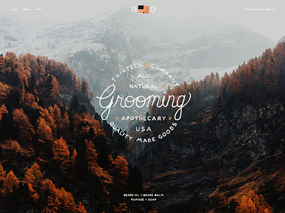 13 & Co apothecary beard brand branding layout lettering website