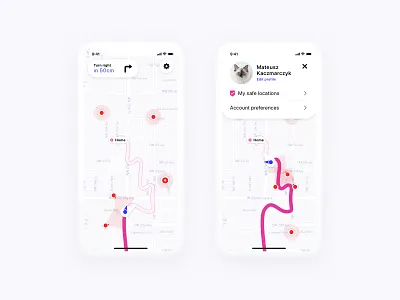 Furry Companion cat directions ios maps mobile app navigation runaway