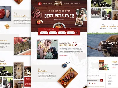 Merrick Website Concept 2 merrick pet design pet food pets ui ui ux web