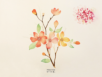 peach blossom watercolour painting