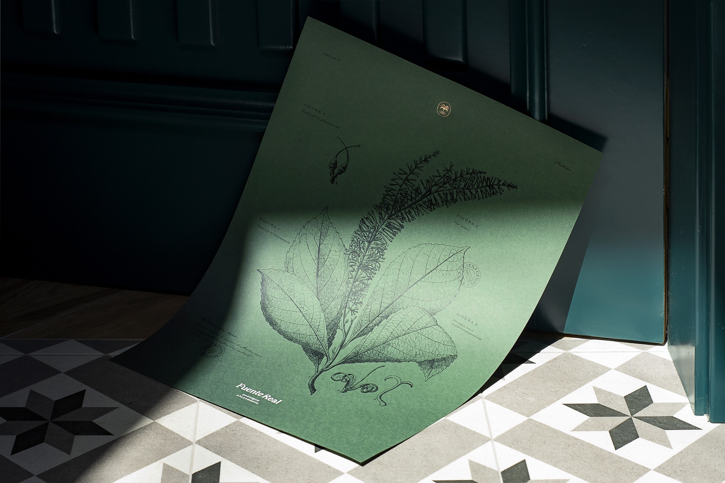 Fuente Real art direction branding creative direction interior design photography storytelling ui