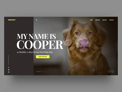 DogCare design dubaifreelancedesigner freelance designer freelancer ui uiuxdesign uiuxdesigner user interface design user interface designer web designer webdesign