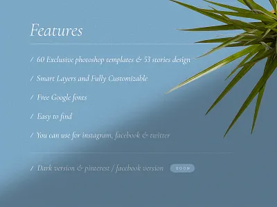 Features blog fashion features music social media kit style template update violin