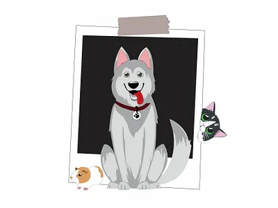 Pets art cat design dog guinea pig husky idea illustration illustrator art illustrator cc image logo pets picture piggy posing taking pictures