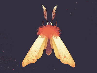 Butterfly2 art beautiful beauty colorful design digitalart graphic design illustration photoshop