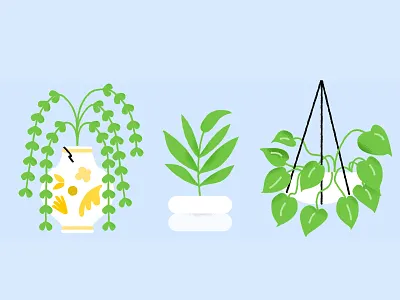 fronds illustration leaf nature plant plants texture