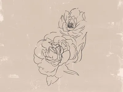 Peony Flower Illustration brand identity design charcoal drawing designsake designsakestudio flower flower illustration illustration paint brush paint texture pencil drawing peony redesign