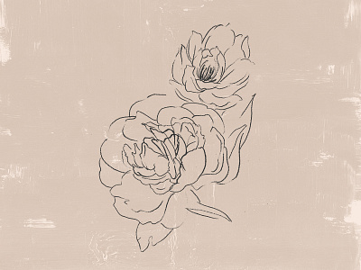 Peony Flower Illustration brand identity design charcoal drawing designsake designsakestudio flower flower illustration illustration paint brush paint texture pencil drawing peony redesign